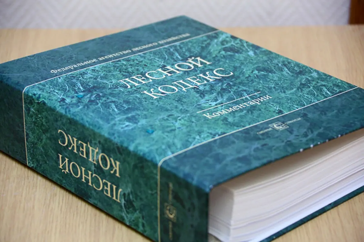 Кодекс 2006 года претерпел почти сто пакетов поправок; специалист по лесному хозяйству считает, что вместо постоянных правок нужен новый, компактный и понятный документ.