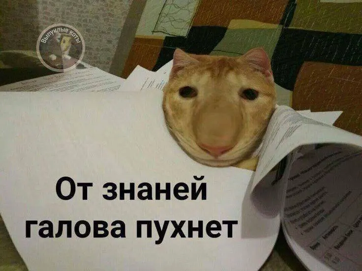 Минспорт планирует ввести тест по управлению небольшим дроном в комплекс ГТО: испытание отработают в этом году, а с следующего года его смогут сдавать желающие по всей стране.