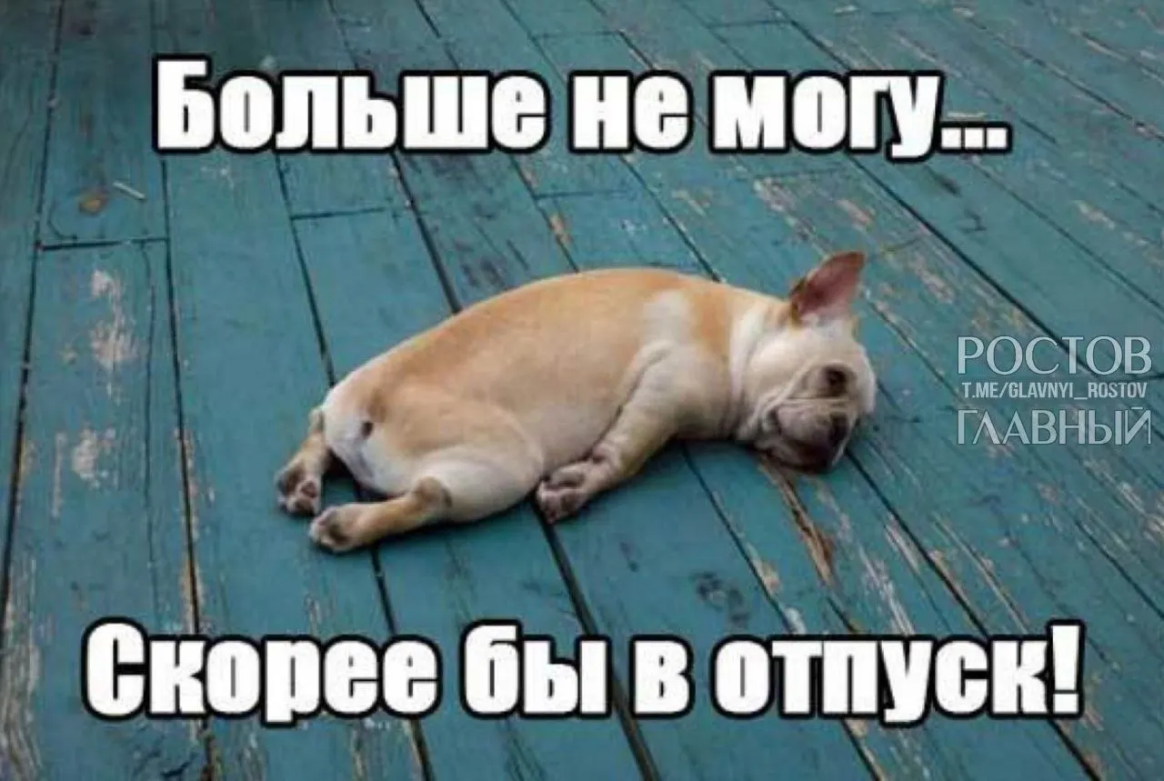 Депутаты Госдумы предлагают поднять минимальную продолжительность ежегодного отпуска с 28 до 35 дней, чтобы компенсировать входящие в отпуск выходные и снизить риск профессионального выгорания.