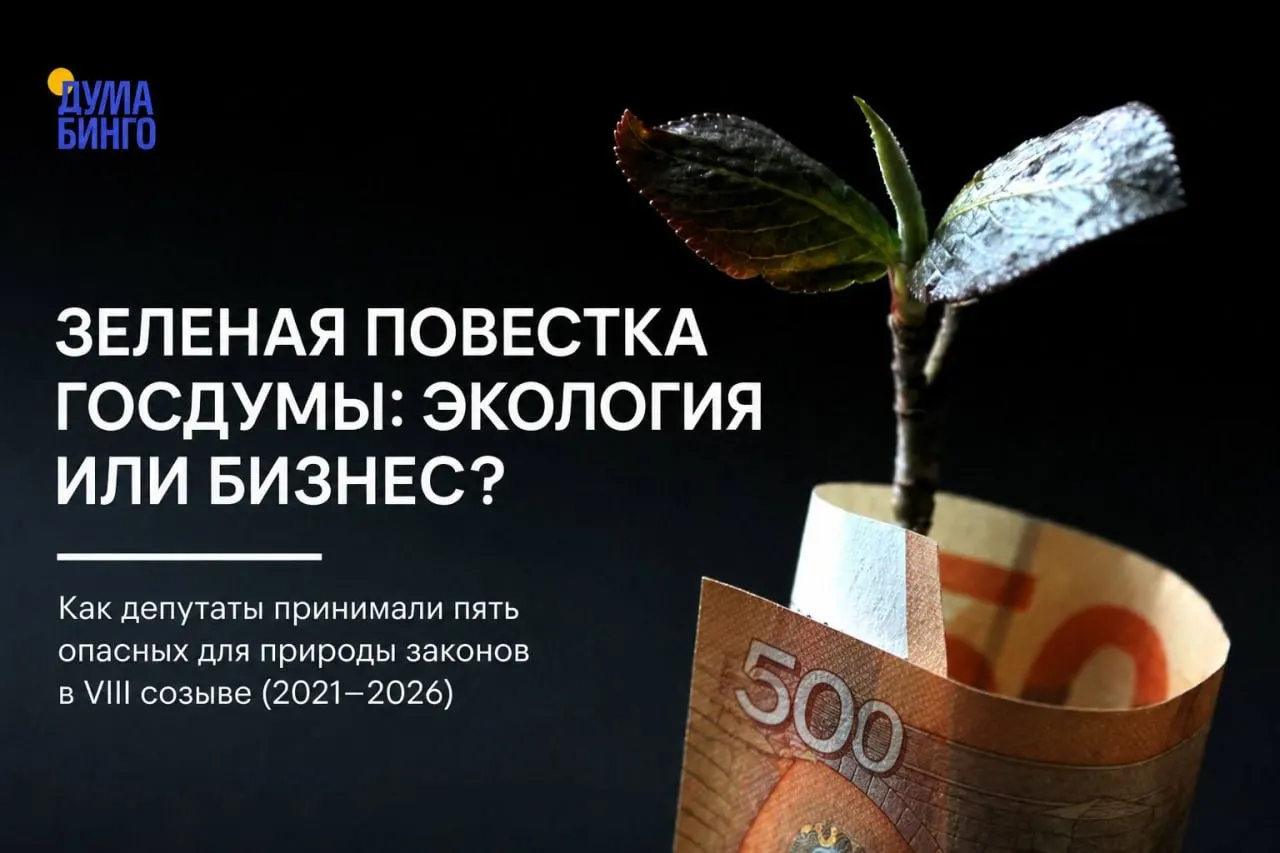 За последние пять лет в Госдуме прошли инициативы, которые эксперты считают ослабляющими природоохранное регулирование — от ограничения общественной экспертизы до передачи правил добычи редких видов правительству.