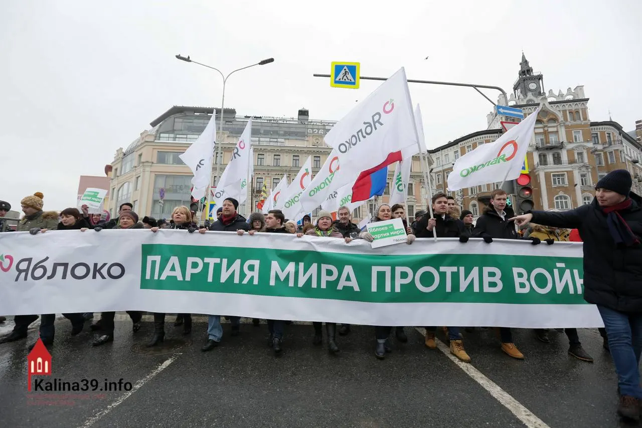 После регистрации федерального списка «Яблока» эксперты полагают, что власти могли допустить партию, чтобы направить протестный электорат в контролируемое русло. При этом многие заметные кандидаты отстранены, и голосование остаётся одной из немногих легальных форм высказать несогласие.