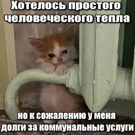 Суд подтвердил, что срок исковой давности по обязательствам за капитальный ремонт — три года. Задолженности старше этого срока подлежат исключению из платёжных квитанций и защищают должников от принудительного взыскания.