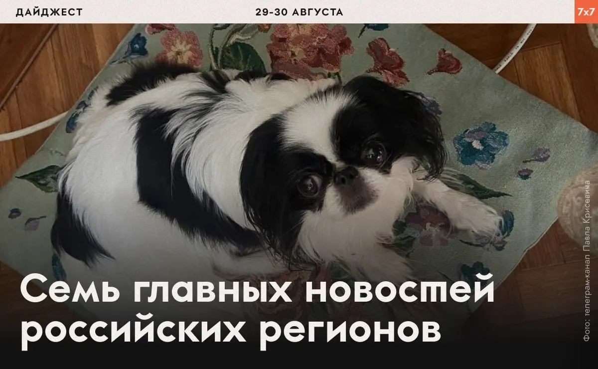 В нескольких регионах зафиксированы случаи давления на активистов, усиление контроля за агитацией и новые ограничения в городах и регионах.