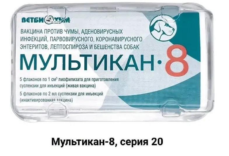 Владельцы животных требуют независимой проверки причин гибели после прививок вакциной «Мультикан-8», утверждая, что лаборатории отказываются проводить анализ.