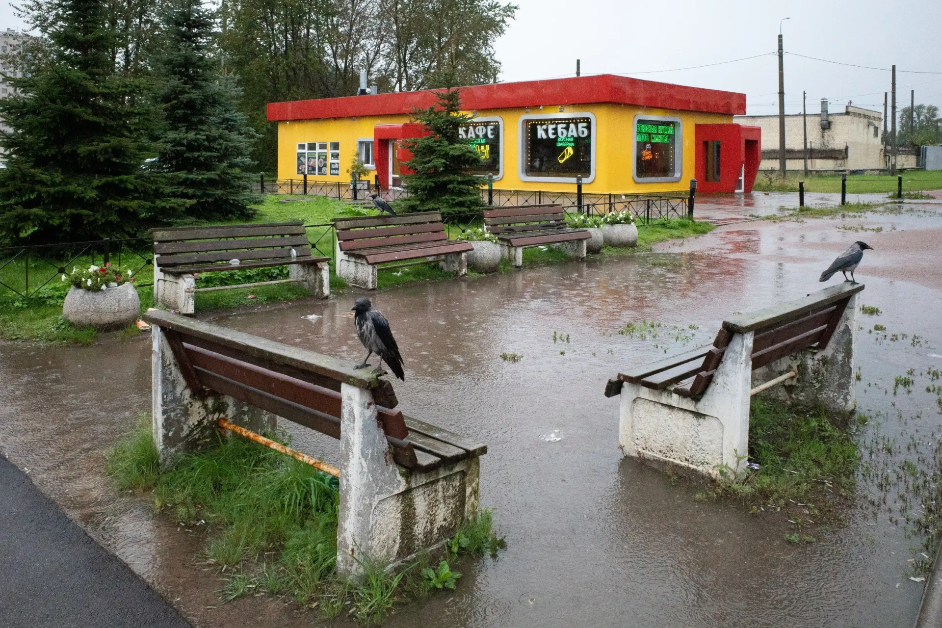 Короткая сводка событий: развод в Петербурге, политические заявления и обновления в России и мире.